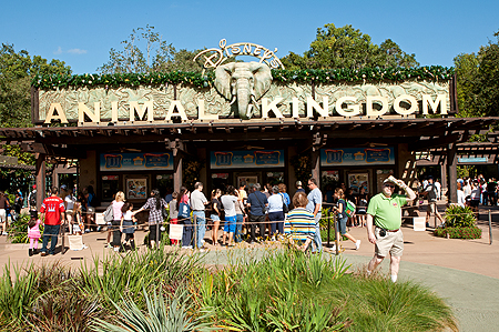 Disney's Animal Kingdom