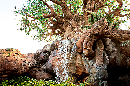 Disney Animal Kingdom