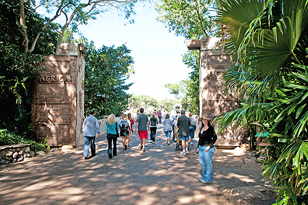 Disney Animal Kingdom Africa