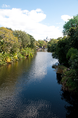 Disney Animal Kingdom