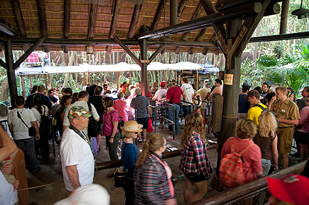 Disney Animal Kingdom Line