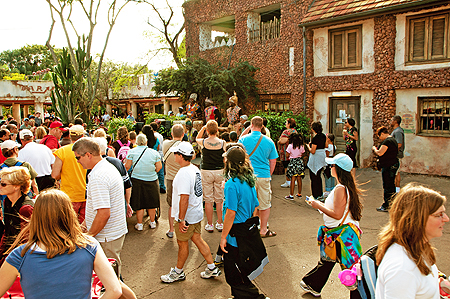 Animal Kingdom Music