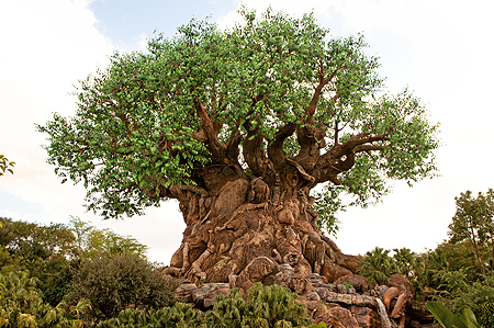 Disney Tree of Life