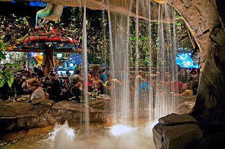Downtown Disney Rainforest Cafe
