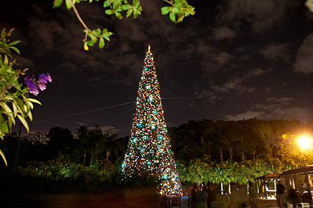 Walt Disney World Christmas