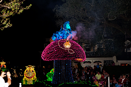 Alice in Wonderland caterpillar