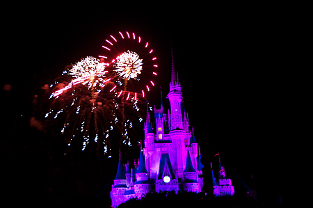 Disney Castle Fireworks