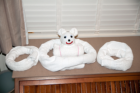 Teddy BEar Towel