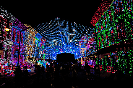 Disney Hollywood Studios Christmas Lights