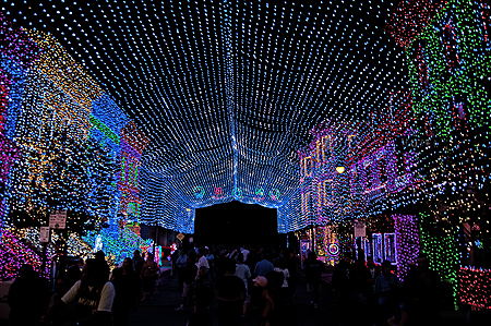 Osborne family christmas lights