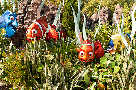 Finding Nemo