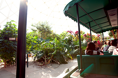 Living with the Land