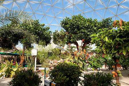 Living with the Land