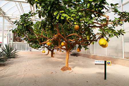 Living with the Land