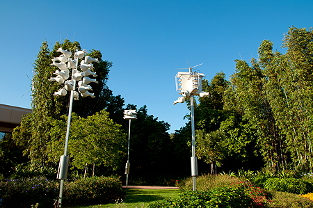 Epcot bird houses