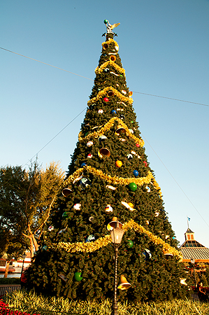 Epcot Christmas