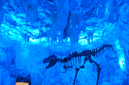 T-Rex skeleton Downtown Disney