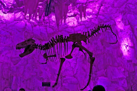 Downtown Disney T-Rex