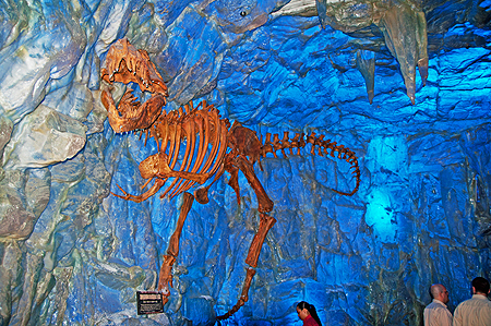 T-Rex Downtown Disney