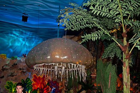 Downtown Disnwy T-Rex Jellyfish