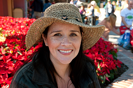 Downtown Disney poinsettias