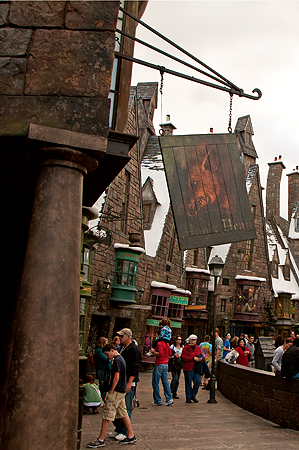 Harry Potter Boar's Head