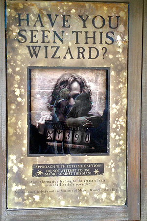 Harry Potter Sirius Black Wated Poster