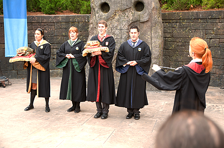 Harry Potter Frog Choir