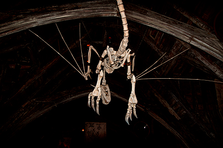 Hogwarts Harry Potter Defense Against Dark Arts Class