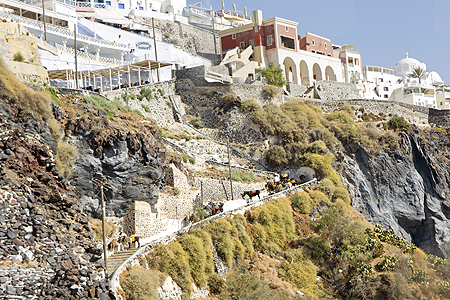 santorini donkeys