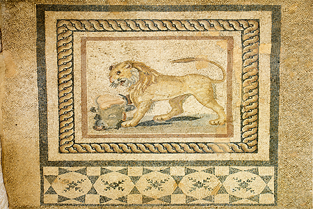 Terrace House Lion Mosaic
