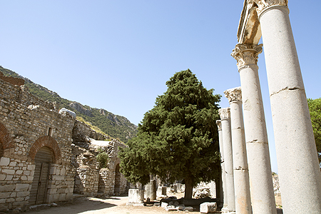 commercial Ephesus