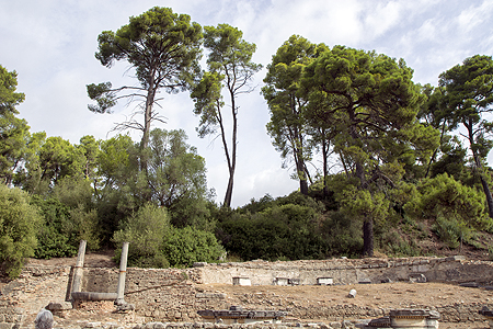 nymphaion Olympia