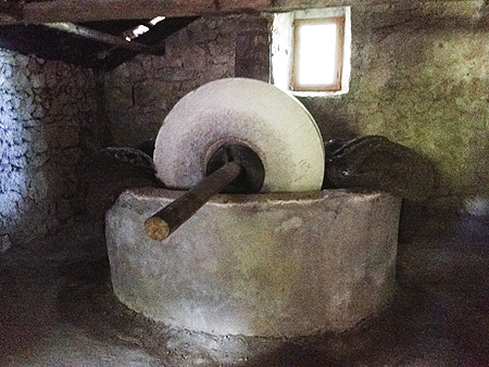 Olive oil press