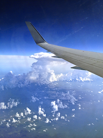 miami bound