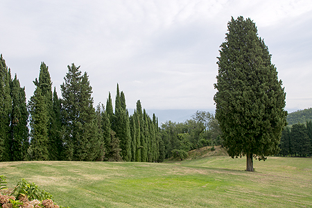 Villa Campestri