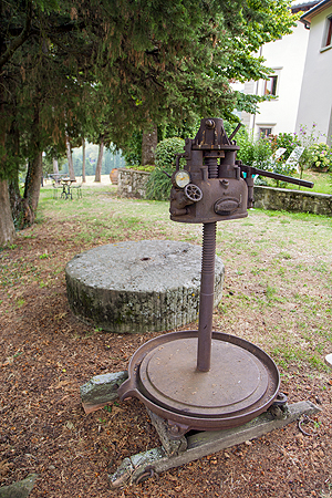 olive oil press