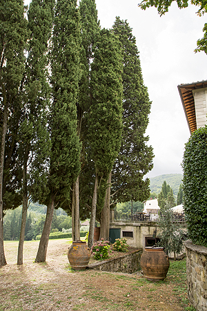 olive oil urns